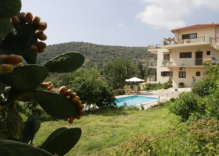Elena\'S Summer House